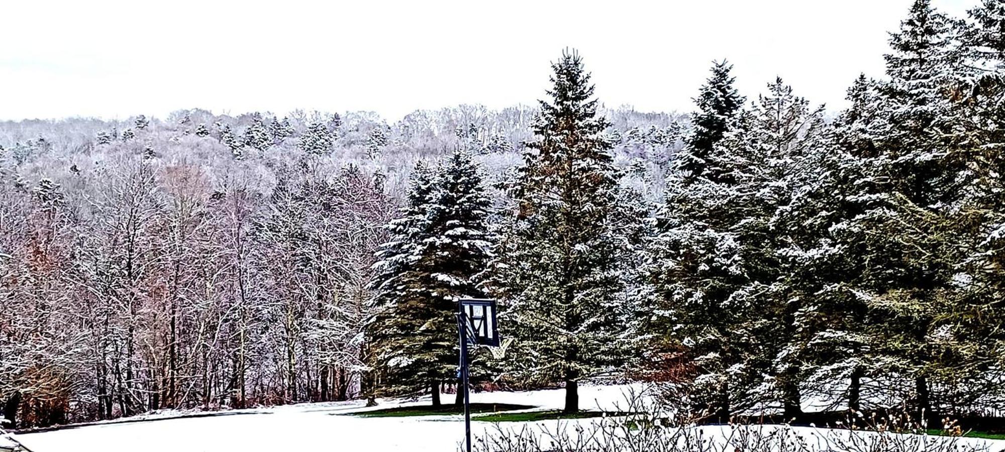 Escape To The Catskills Сasa de vacaciones Liberty